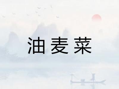 油麦菜
