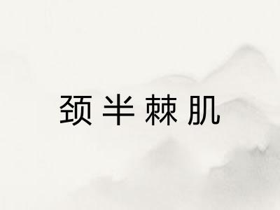 颈半棘肌