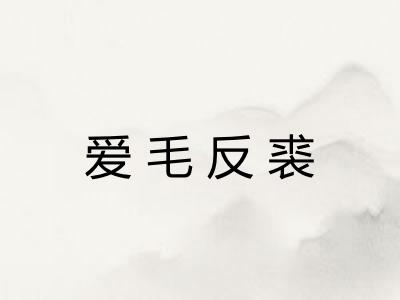 爱毛反裘