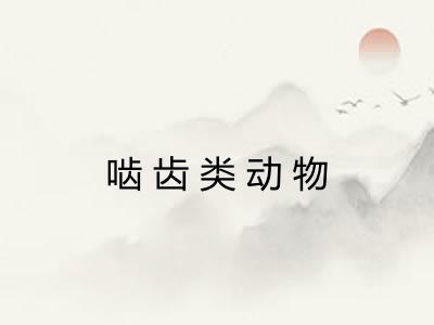 啮齿类动物