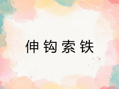 伸钩索铁