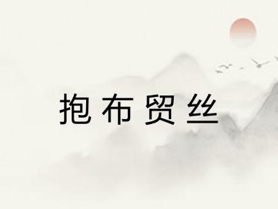抱布贸丝