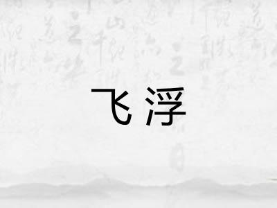 飞浮