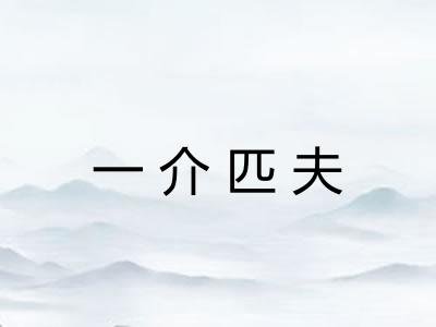 一介匹夫