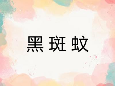 黑斑蚊