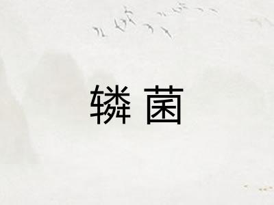 辚菌