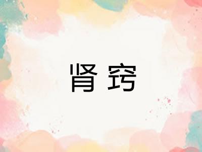 肾窍