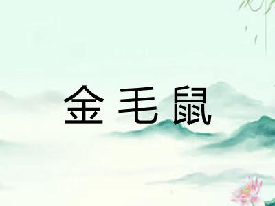 金毛鼠
