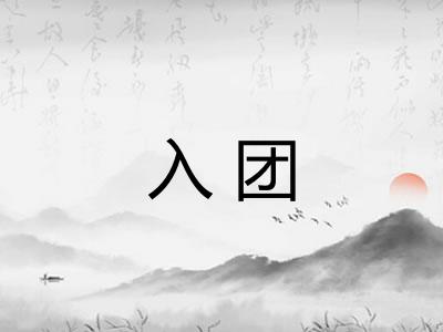 入团
