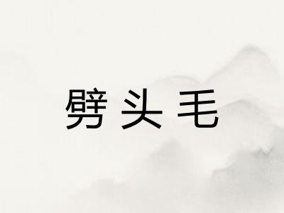 劈头毛