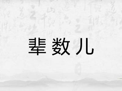 辈数儿