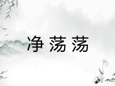 净荡荡