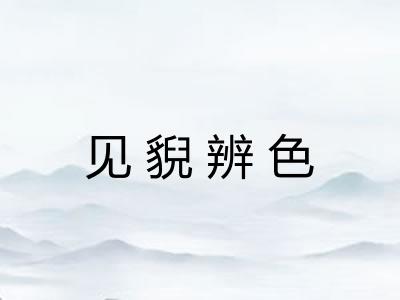 见貎辨色