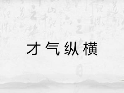 才气纵横