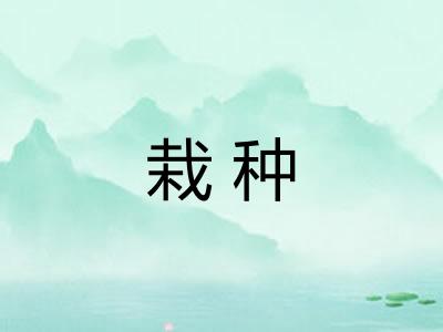 栽种