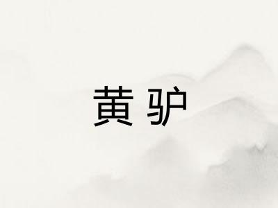 黄驴