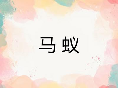 马蚁