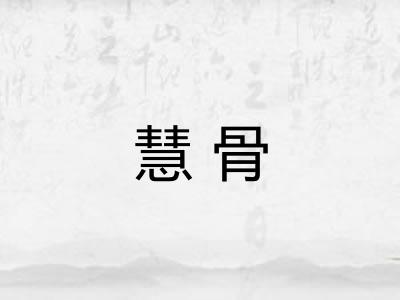 慧骨