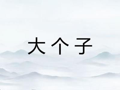 大个子