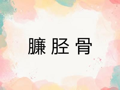 臁胫骨