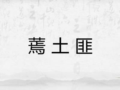 蔫土匪