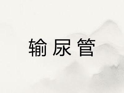 输尿管