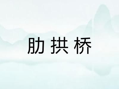 肋拱桥
