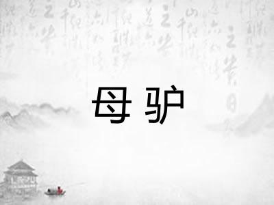 母驴
