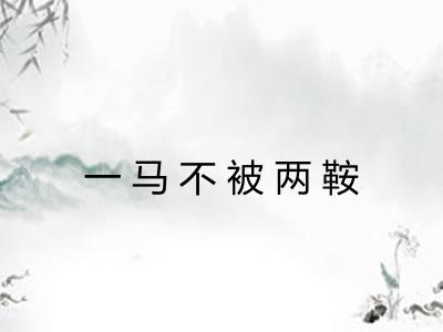 一马不被两鞍