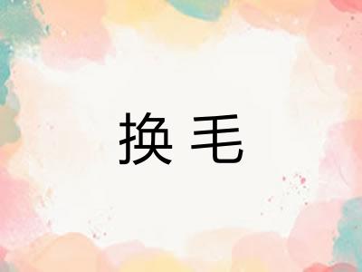 换毛