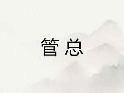 管总