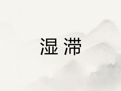 湿滞
