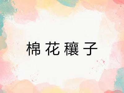 棉花穰子