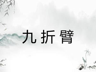 九折臂