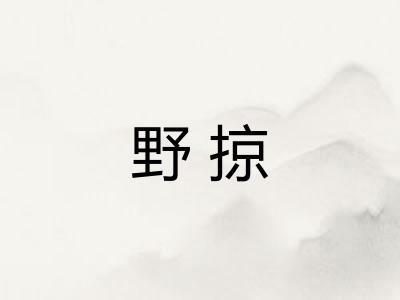 野掠