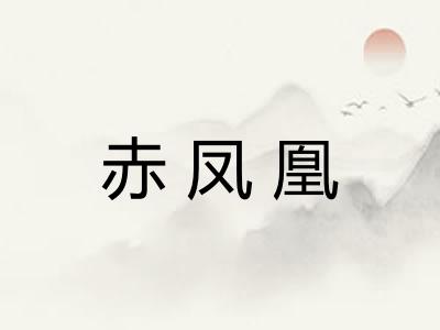赤凤凰