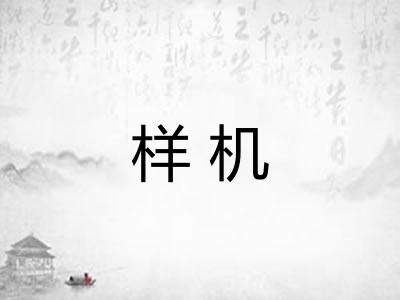 样机