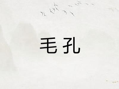 毛孔