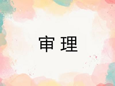 审理