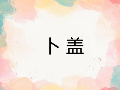 卜盖