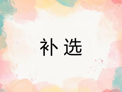 补选