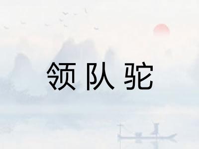 领队驼