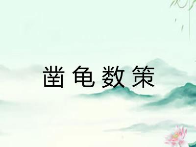 凿龟数策