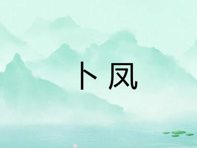 卜凤
