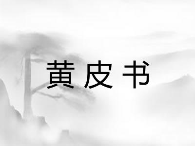 黄皮书