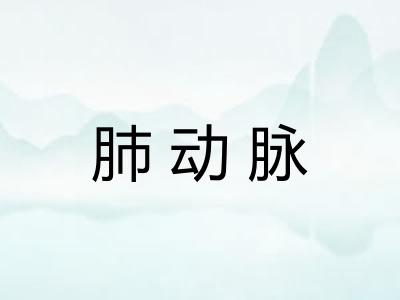 肺动脉