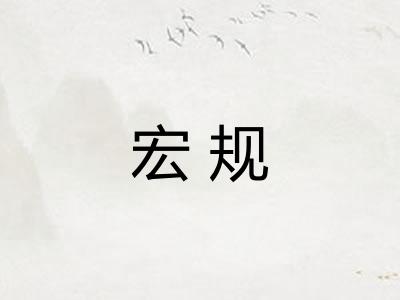 宏规