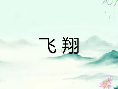 飞翔