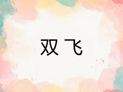 双飞
