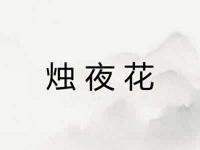 烛夜花